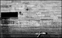 http://www.w74.fr/files/gimgs/th-14_waiting8.jpg