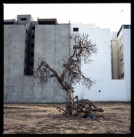 http://www.w74.fr/files/gimgs/th-6_stranded2.jpg